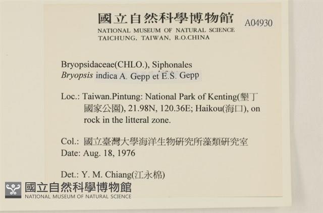 登錄號:A00004930藏品圖，第2張