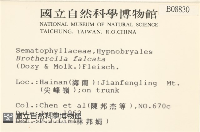 登錄號:B00008830藏品圖，第2張