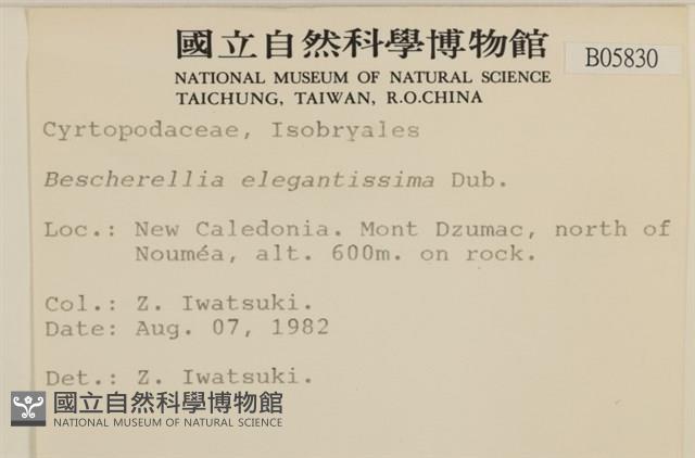 登錄號:B00005830藏品圖，第2張