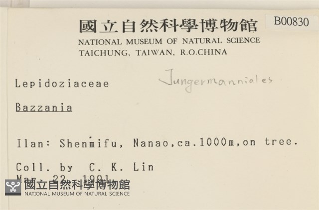 登錄號:B00000830藏品圖，第2張