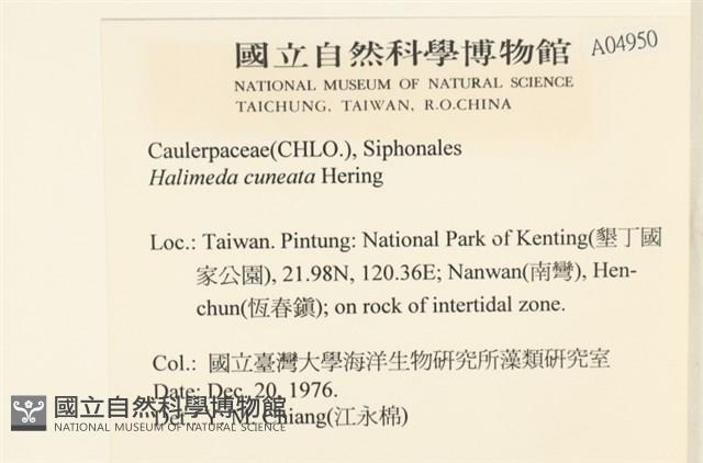 登錄號:A00004950藏品圖，第2張