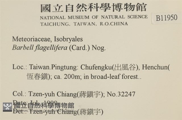 鞭枝懸蘚藏品圖，第2張