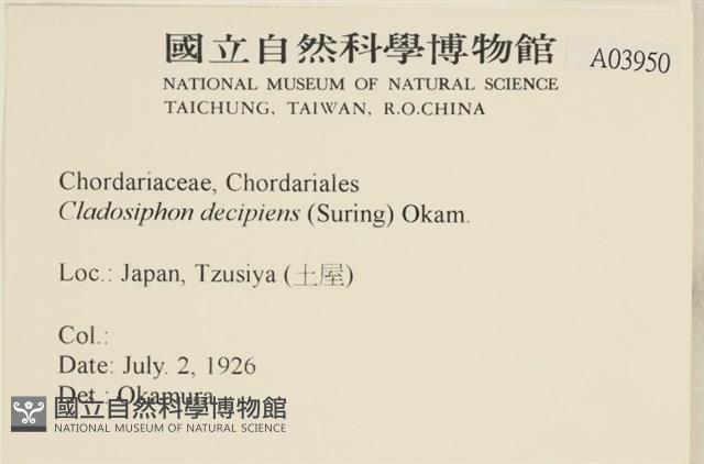 登錄號:A00003950藏品圖，第2張
