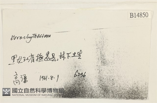 登錄號:B00014850藏品圖，第2張