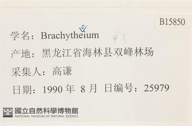 登錄號:B00015850藏品圖，第2張