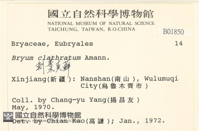 刺葉真蘚藏品圖，第2張