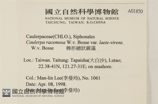 登錄號:A00001850藏品圖，第3張
