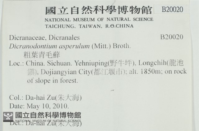粗毛青毛蘚藏品圖，第2張