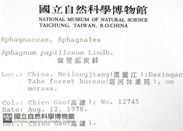 瘤壁泥炭蘚藏品圖，第2張
