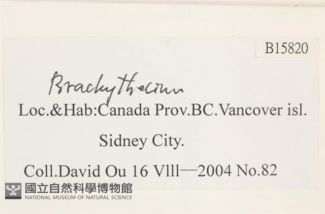 登錄號:B00015820藏品圖，第2張