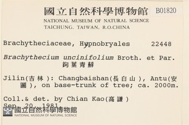 鉤葉青蘚藏品圖，第2張