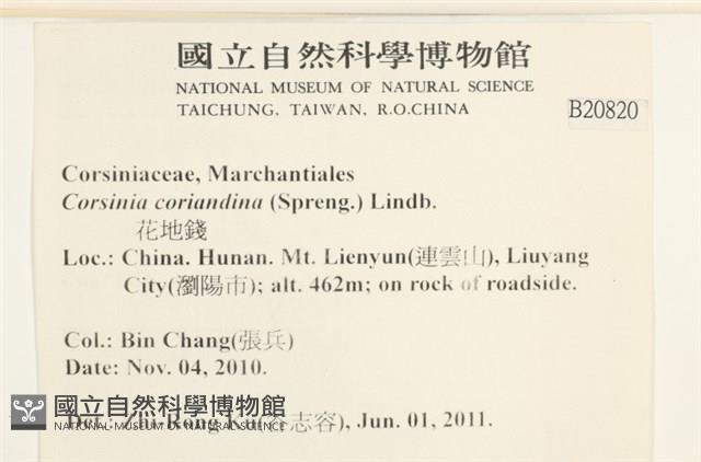登錄號:B00020820藏品圖，第2張