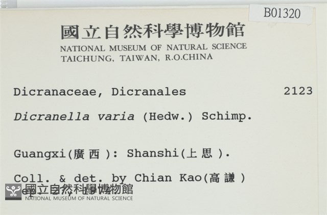 登錄號:B00001320藏品圖，第2張