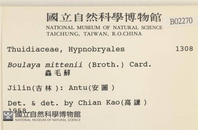 蟲毛蘚藏品圖，第2張