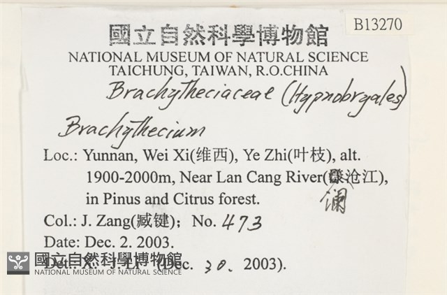 登錄號:B00013270藏品圖，第2張