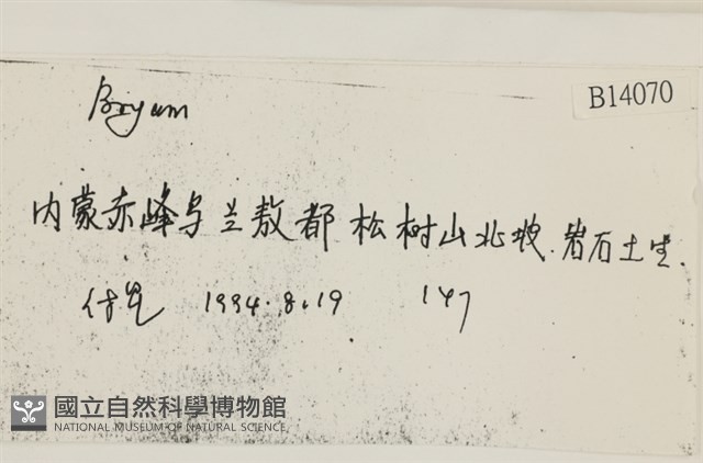 登錄號:B00014070藏品圖，第2張