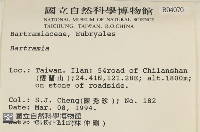 登錄號:B00004070藏品圖，第2張