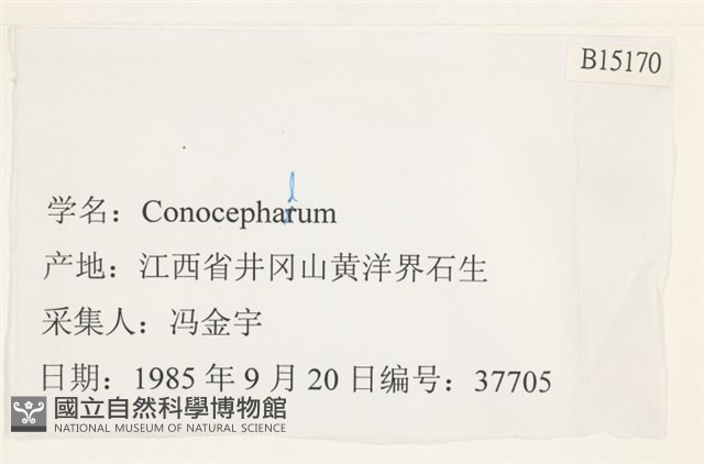 登錄號:B00015170藏品圖，第2張
