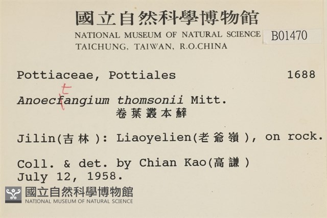 索氏叢本蘚藏品圖，第2張