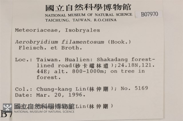 毛扭蘚藏品圖，第2張