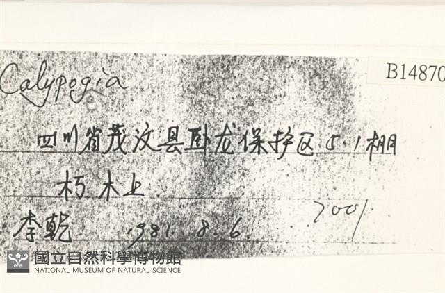 登錄號:B00014870藏品圖，第2張