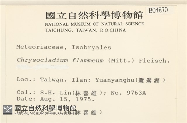 登錄號:B00004870藏品圖，第2張