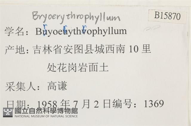 登錄號:B00015870藏品圖，第2張