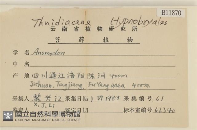 登錄號:B00011870藏品圖，第2張