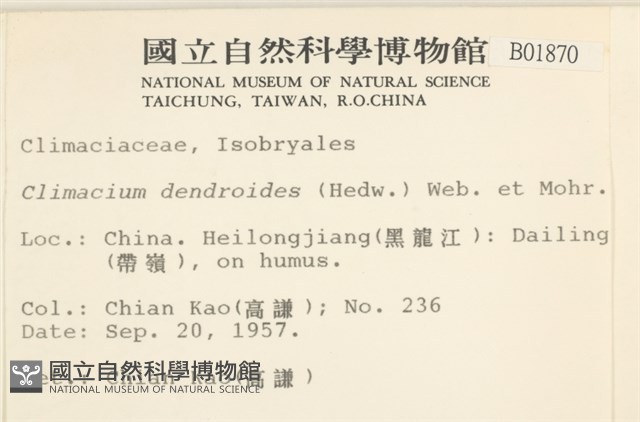 登錄號:B00001870藏品圖，第2張