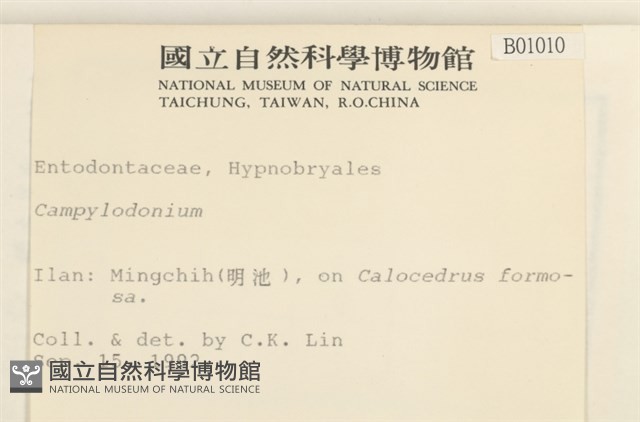 登錄號:B00001010藏品圖，第2張