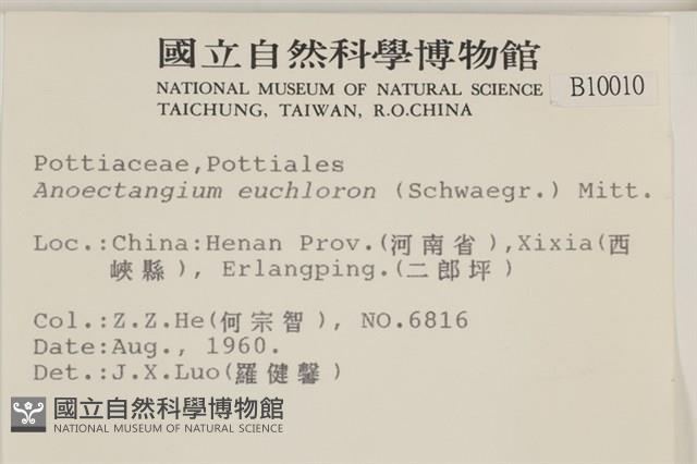 登錄號:B00010010藏品圖，第2張