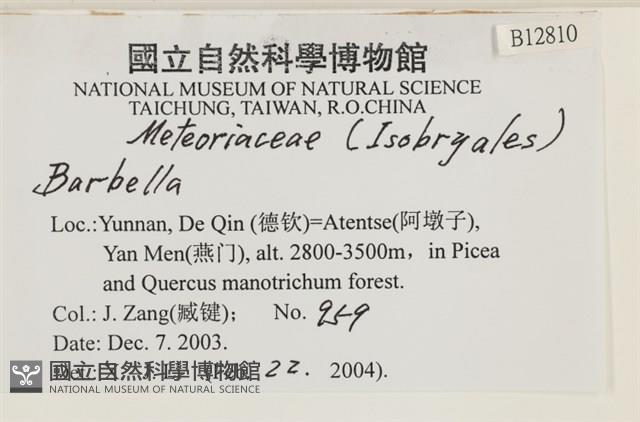 登錄號:B00012810藏品圖，第2張