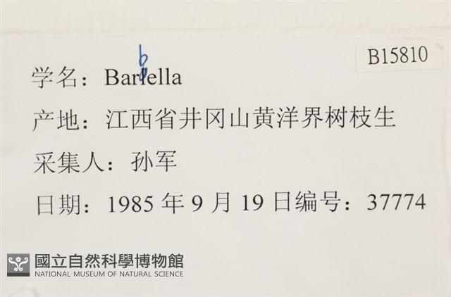 登錄號:B00015810藏品圖，第2張