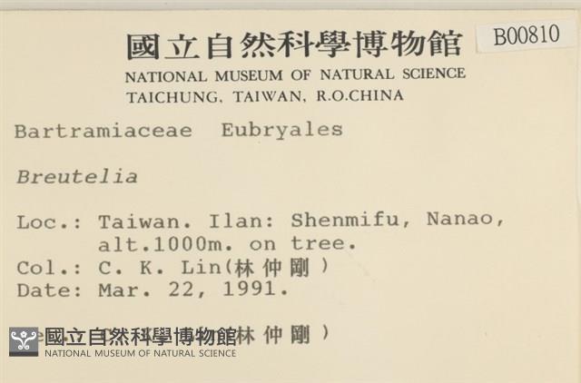 登錄號:B00000810藏品圖，第2張