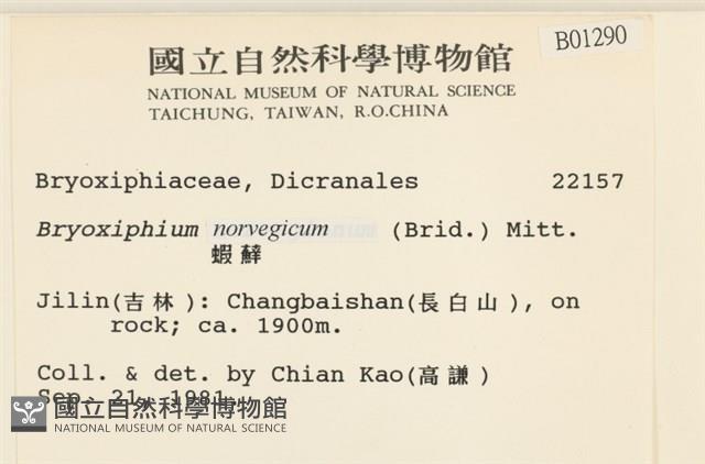 蝦蘚藏品圖，第2張