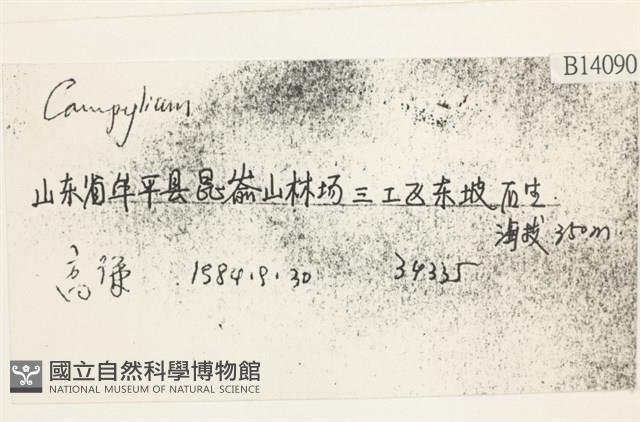 登錄號:B00014090藏品圖，第2張