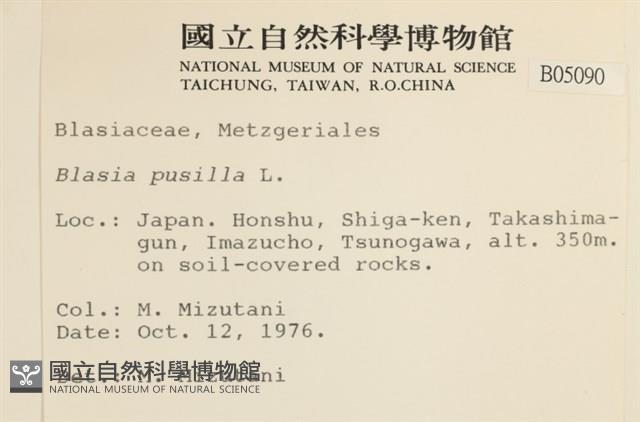 壺苞苔藏品圖，第2張