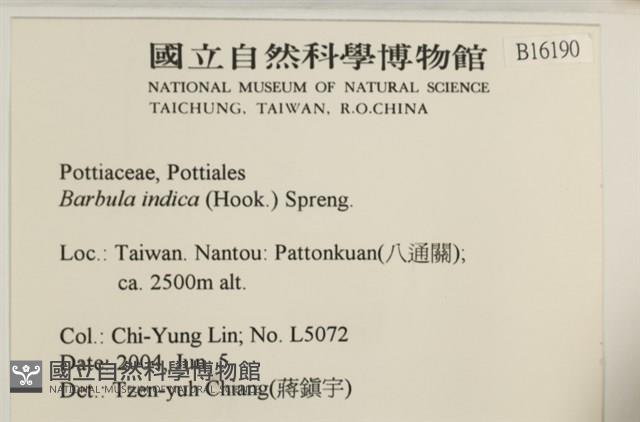 印度扭口蘚藏品圖，第2張