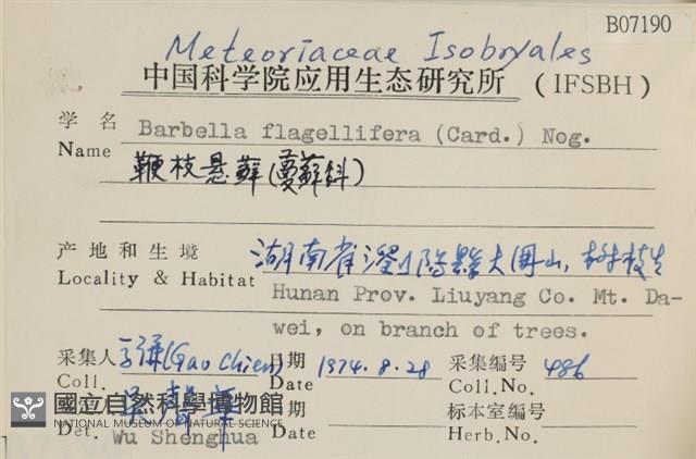 鞭枝懸蘚藏品圖，第2張