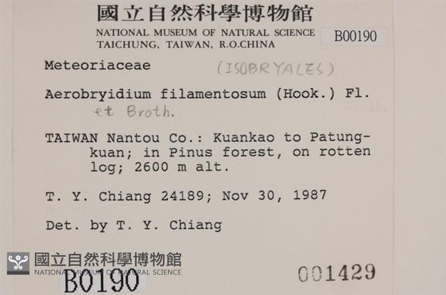 毛扭蘚藏品圖，第2張