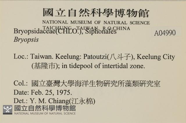 登錄號:A00004990藏品圖，第2張