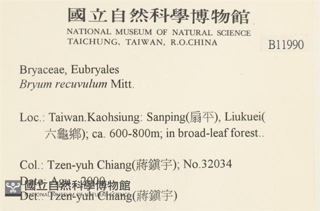 登錄號:B00011990藏品圖，第2張