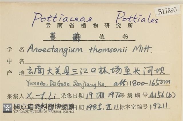 索氏叢本蘚藏品圖，第2張