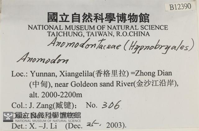 登錄號:B00012390藏品圖，第2張