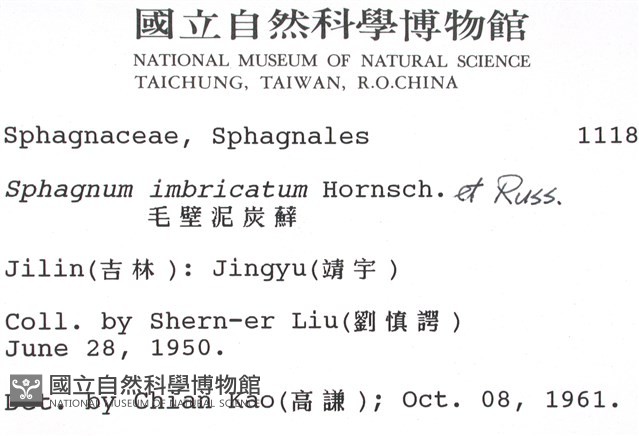 覆葉泥炭蘚, 毛壁泥炭蘚藏品圖，第2張