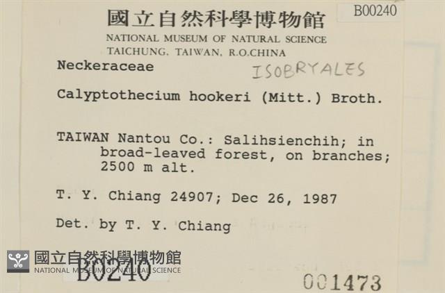 登錄號:B00000240藏品圖，第2張