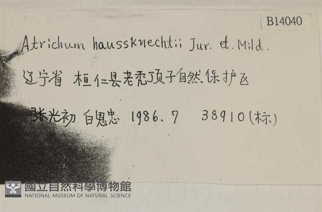 仙鶴蘚藏品圖，第2張