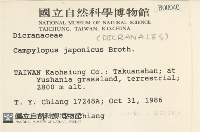 日本曲柄蘚藏品圖，第2張