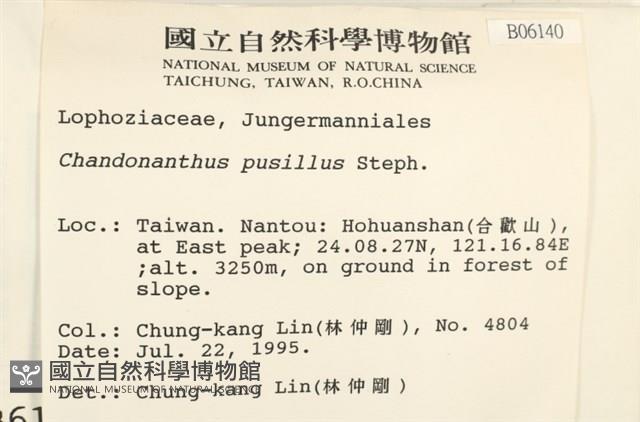 登錄號:B00006140藏品圖，第2張