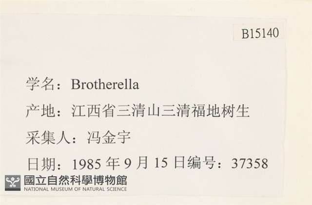 登錄號:B00015140藏品圖，第2張
